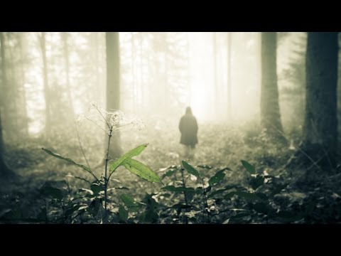 YouTube Preview Image