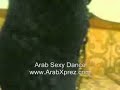 Arabe Hot Woman Dancing 2
