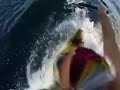 Wakeboarding - Spaanse Water - Curacao