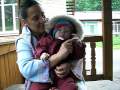 videos de Stanislas9