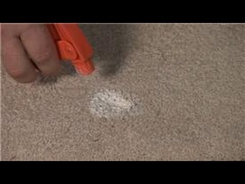 how to get paint out or carpet