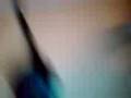 videos de gerbille