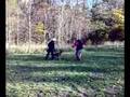 videos de kuftitrenn2