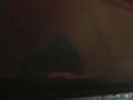 Crazy guy surfing behind a bus!