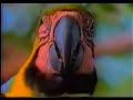Assembl�ia de Deus-Bel�m - Miss�o - Bol�via