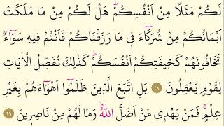 30- Surah Ar-Rum - Maher Al Muaiqly - Arabic trans