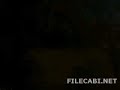 Amazing-Skateboardin