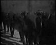Pontian Serra Pyrrhic dance with kemence / Lyra