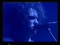 cure glastonbury 95 - trust cure glastonbury 95 - trust
