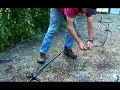 How to Water Garden Plants : Pt. 2: How to Use a Mini Sprinkler to Water Garden Plants How to Water Garden Plants : Pt. 2: How to Use a Mini Sprinkler to Water Garden Plants