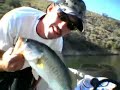 Castaic Lake...Wide Open