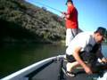 Castaic Lake...Wide Open
