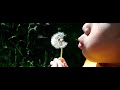Click here to watch this video Ethan Blows a Dandelion Snowball in Slow-motion (v2)