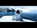 PeNgUeN\