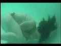 Melody Underwater Test Shots