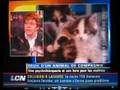 Full interview of France Carlos on Deuil Animalier