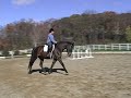 Merlin lesson with Keith Fall 2007