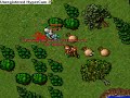 Tibia PK Lord-rogier and sir kyrillios Tibia PK Lord-rogier and sir kyrillios