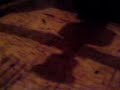 some of my friends