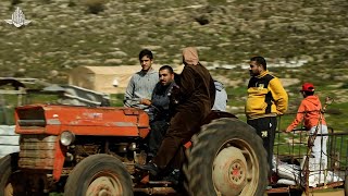 تعرفوا على الأراضي الزراعية الجميلة لوادي فوكين