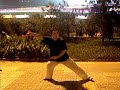 chen style taijiquan laojiayilu(wuyingfeng)