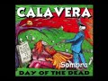 CALAVERA SOMBRA