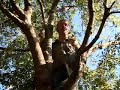 Landscaping Tips - Pruning