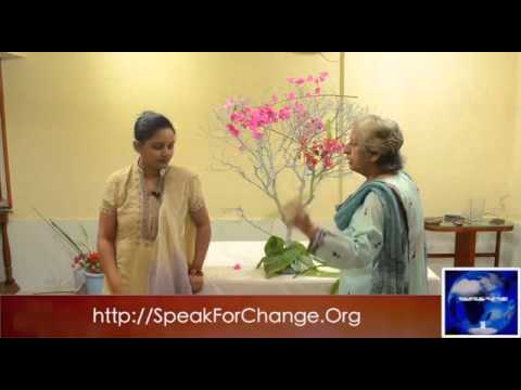 how to replant anthurium