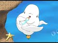 BABY BELUGA BABY BELUGA