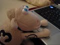 No videos. Here\