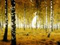 l'automne