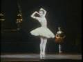 [Ballet Classic] Sylvie Guillem as Raymonda