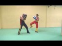videos de Savate Español