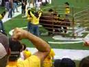 2007 CU vs. CSU - Ralphie leads the Buffs onto the field