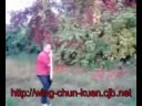 Veng Tsun weapons & wooden dummy