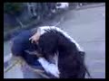 icel ermita videohit