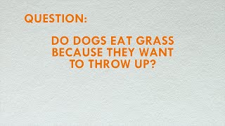 Are your dogs eating grass because they're sick? Probably not