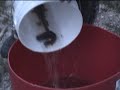 BullHead Catfishing