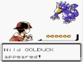 Pokemon Silver (Game Boy Color) Red, final fight.