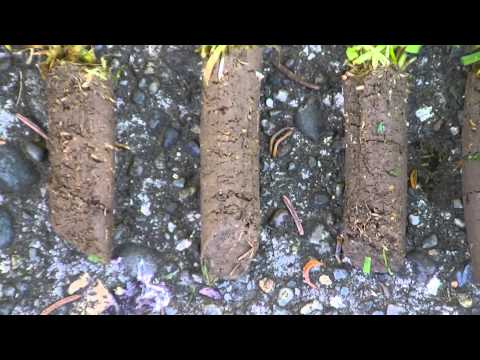 how to fertilize clay soil lawn