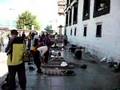 Lhasa 五体投地2