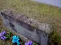 Diary of the Deadpit - 2-3-08 , Cemetary / Super Bowl XLII