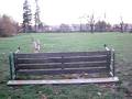 Smooth Collie Brings his Toy