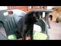nerone.mpg