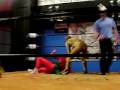 Okinawa Pro Wrestling