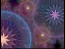 Ayahuasca, DMT a natural product...