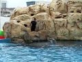 Texas State Aquarium
