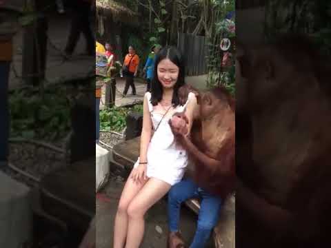Chụp ảnh cùng soái ca này thích nha :v
