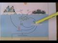 NOBAD - Natural ocean bacterial anaerobic digestion