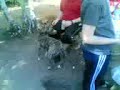 Pasquetta2k7@Felettig